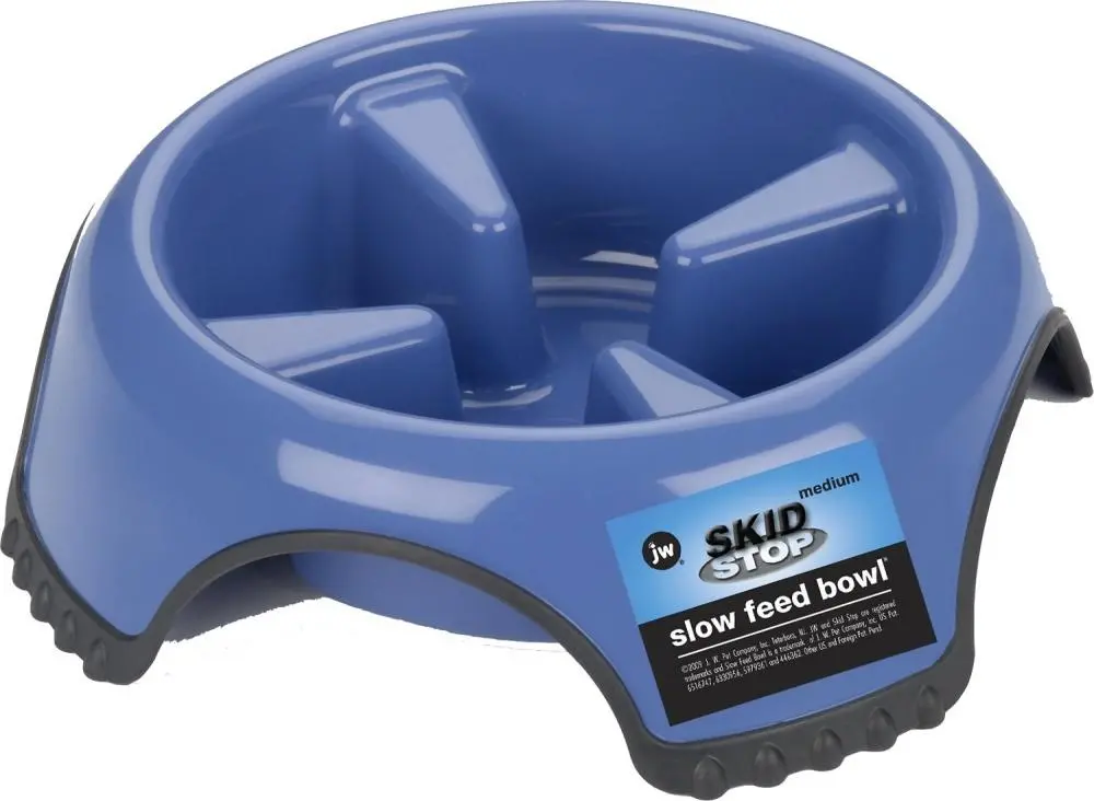 Jw Pet Skid Stop Slow Feed Dog Bowls 1
