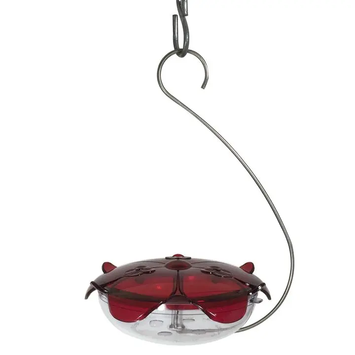 Droll Yankees® Ruby Sipper® Red Hanging Hummingbird Feeder 1