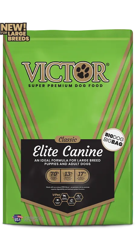 Victor Elite Canine For Dogs 1