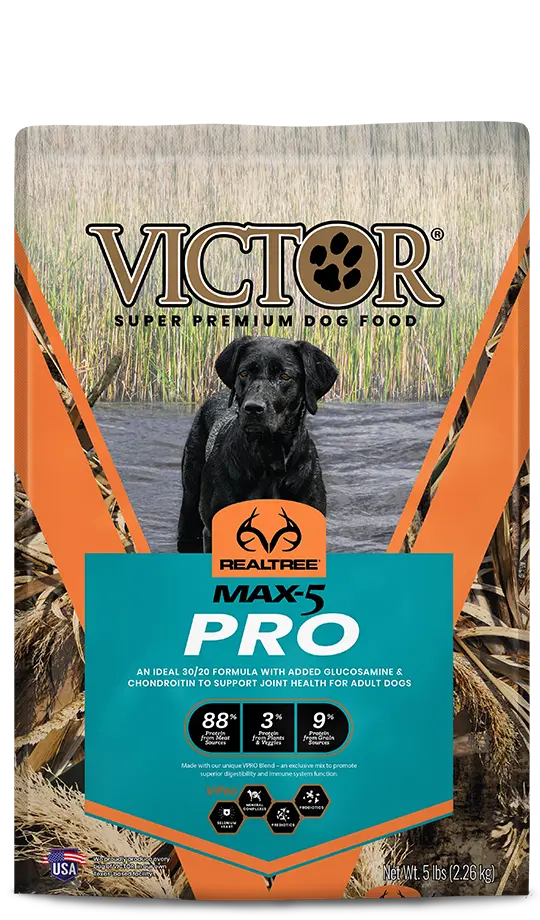 Victor Realtree® Max-5 Pro For Dogs 1