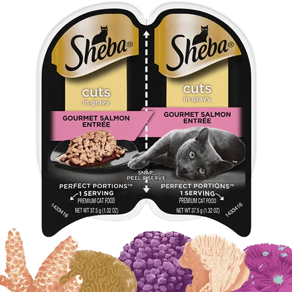 Sheba® Perfect Portions™ Cuts In Gravy Gourmet Salmon Entrée 1