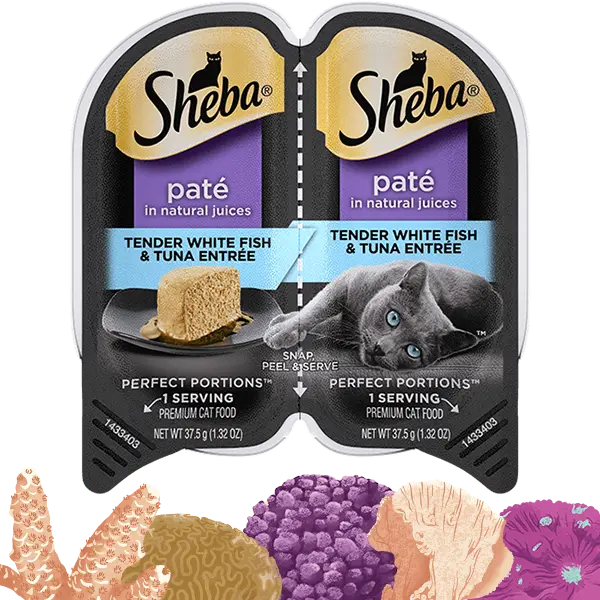 Sheba® Perfect Portions™ Premium Paté Tender Whitefish & Tuna Entrée 1