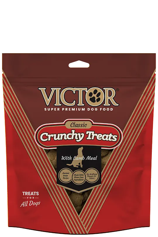Victor Crunchy Dog Treats With Lamb Meal 1