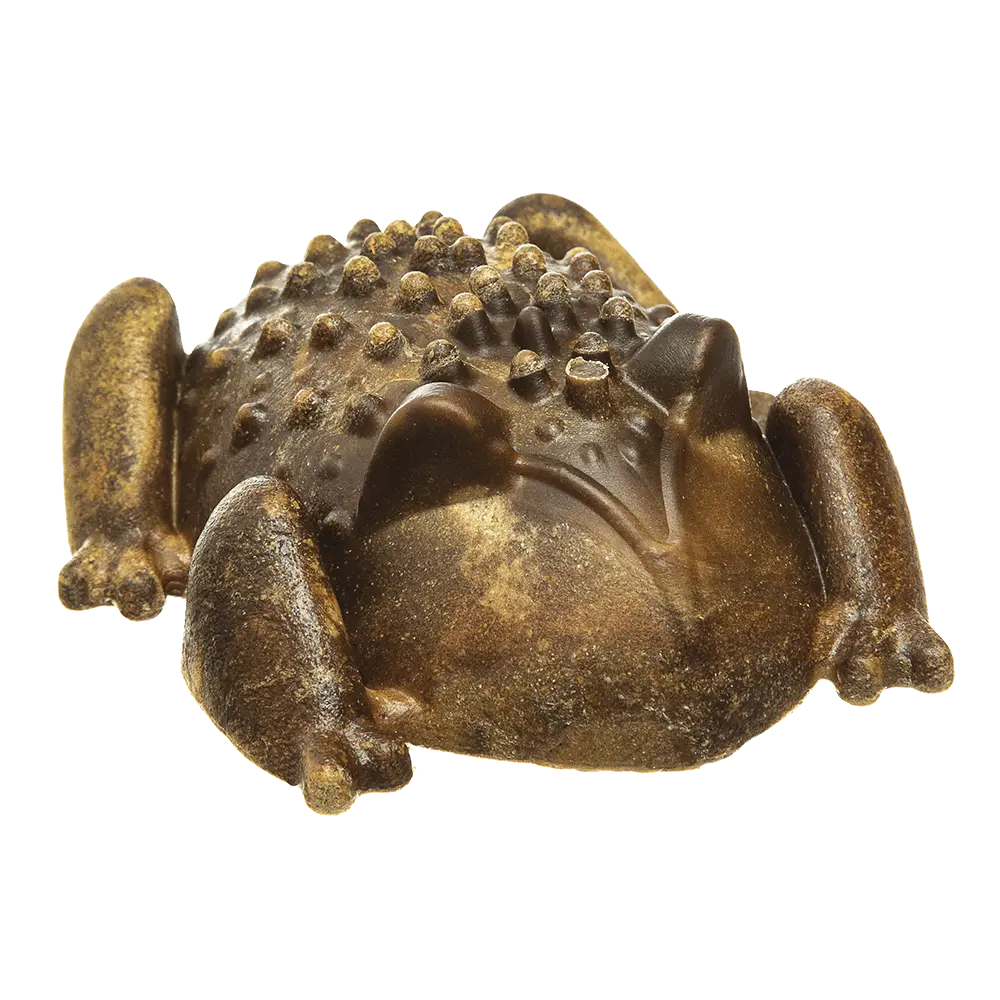 Redbarn Chew-A-Bulls® Horned Toad 1