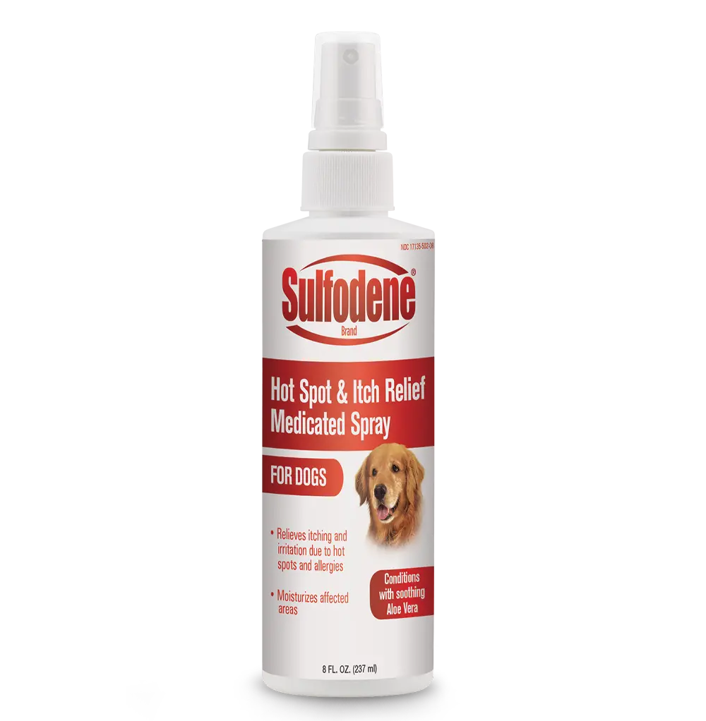 Hot Spot & Itch Relief Medicated Spray For Dogs 1