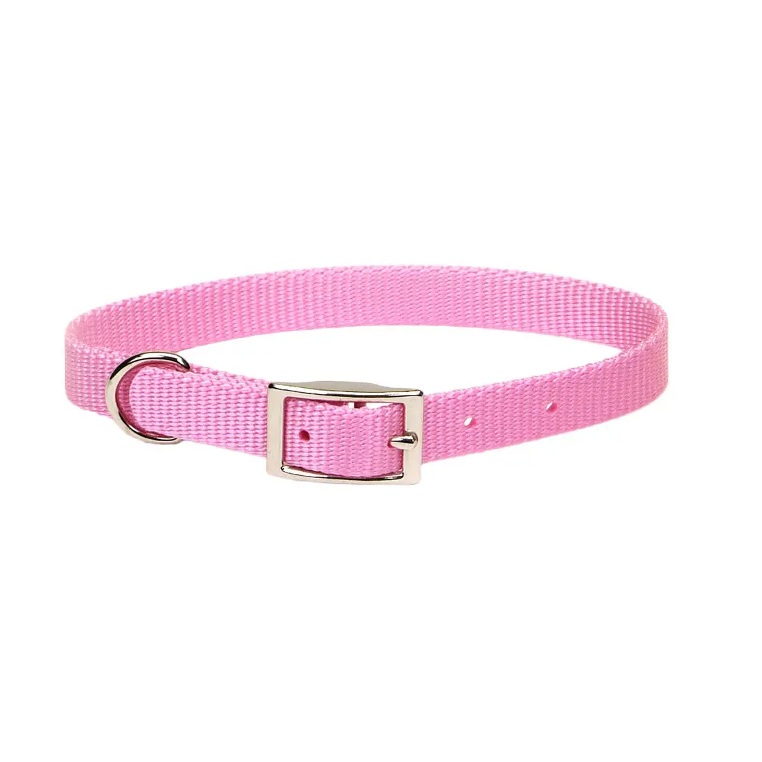 Coastal Single-Ply Dog Collar 3