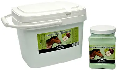 First Companion Equi-Dex Electrolyte 1