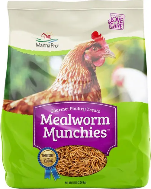 Treats For Chickens: Mealworm Munchies® 1