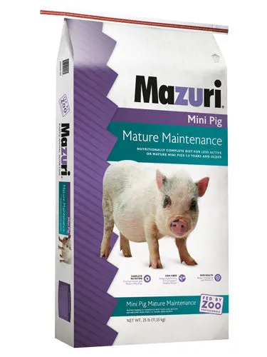 Mazuri® Mini Pig Mature Maintenance Feed 1