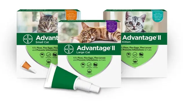 Elanco Advantage® Ii For Small Cats 1
