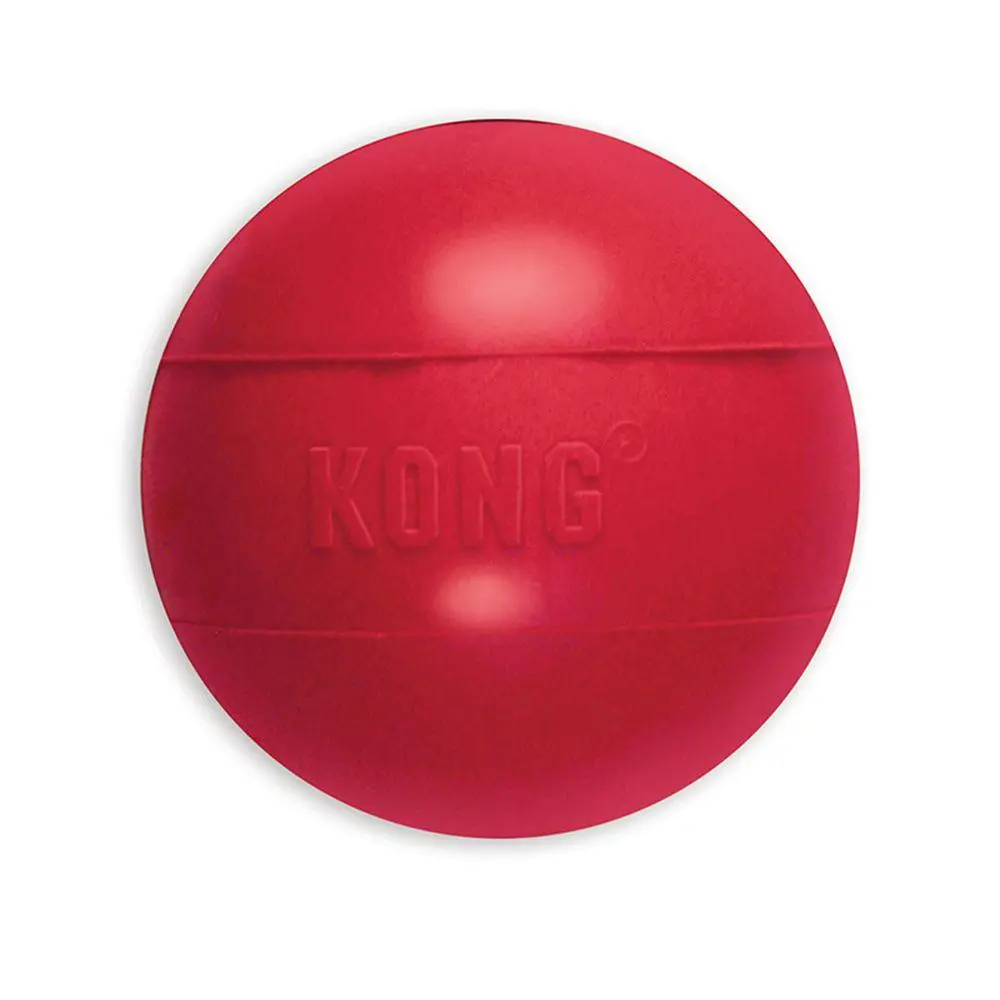 Kong Ball Dog Toy 1