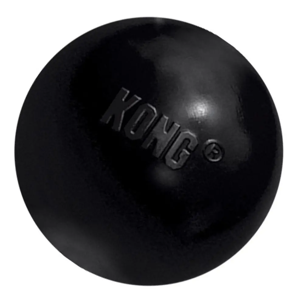 Kong Extreme Ball Dog Toy 1