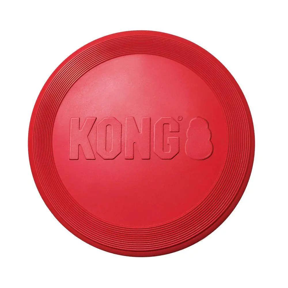 Kong Flyer Dog Toy 1