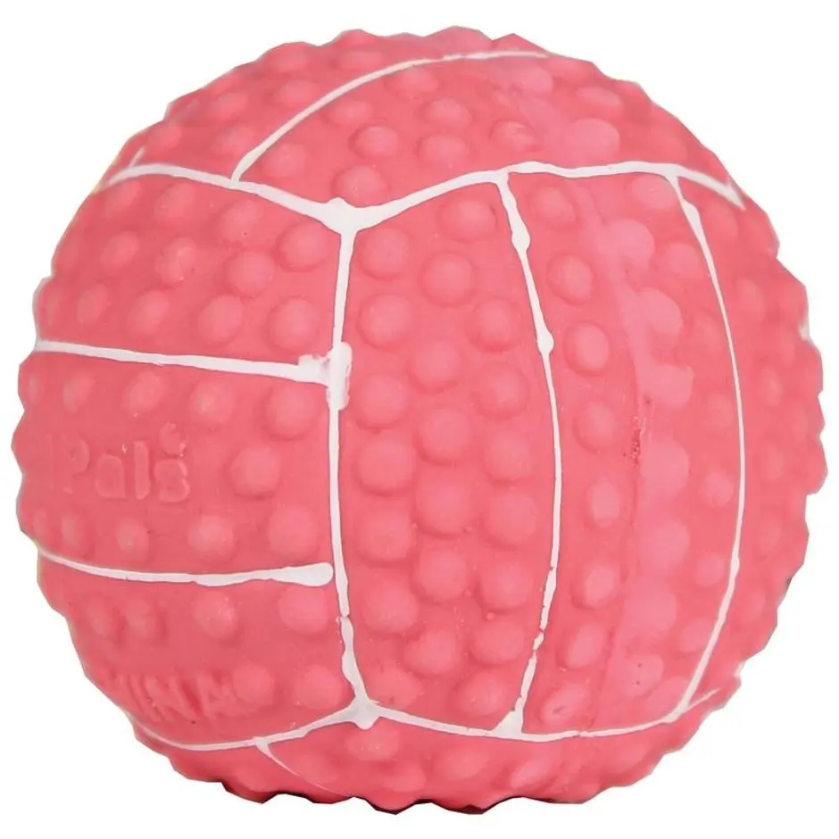 Li'l Pals Latex Volleyball Dog Toy 1