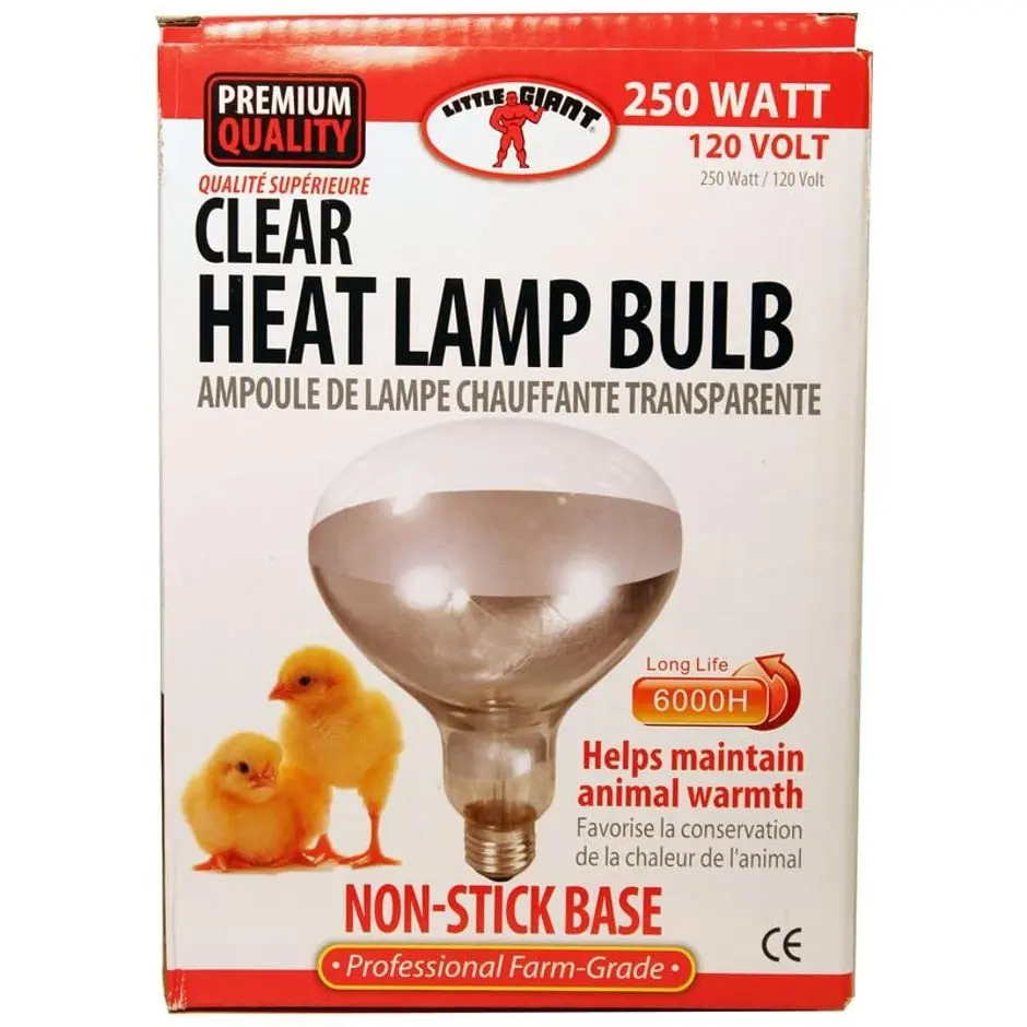 Little Giant Clear Heat Lamp Bulb 1