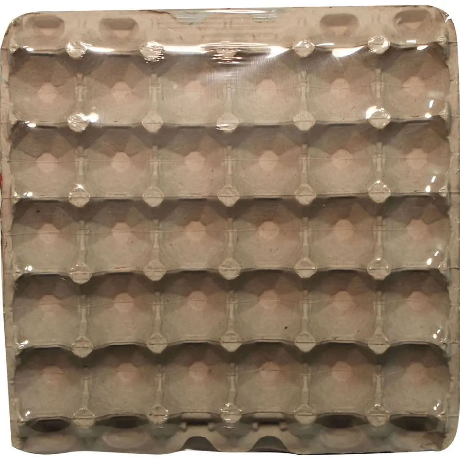 Little Giant Egg Flats 30 Count 1
