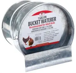 Little Giant Galvanized Bucket Poultry Waterer 1