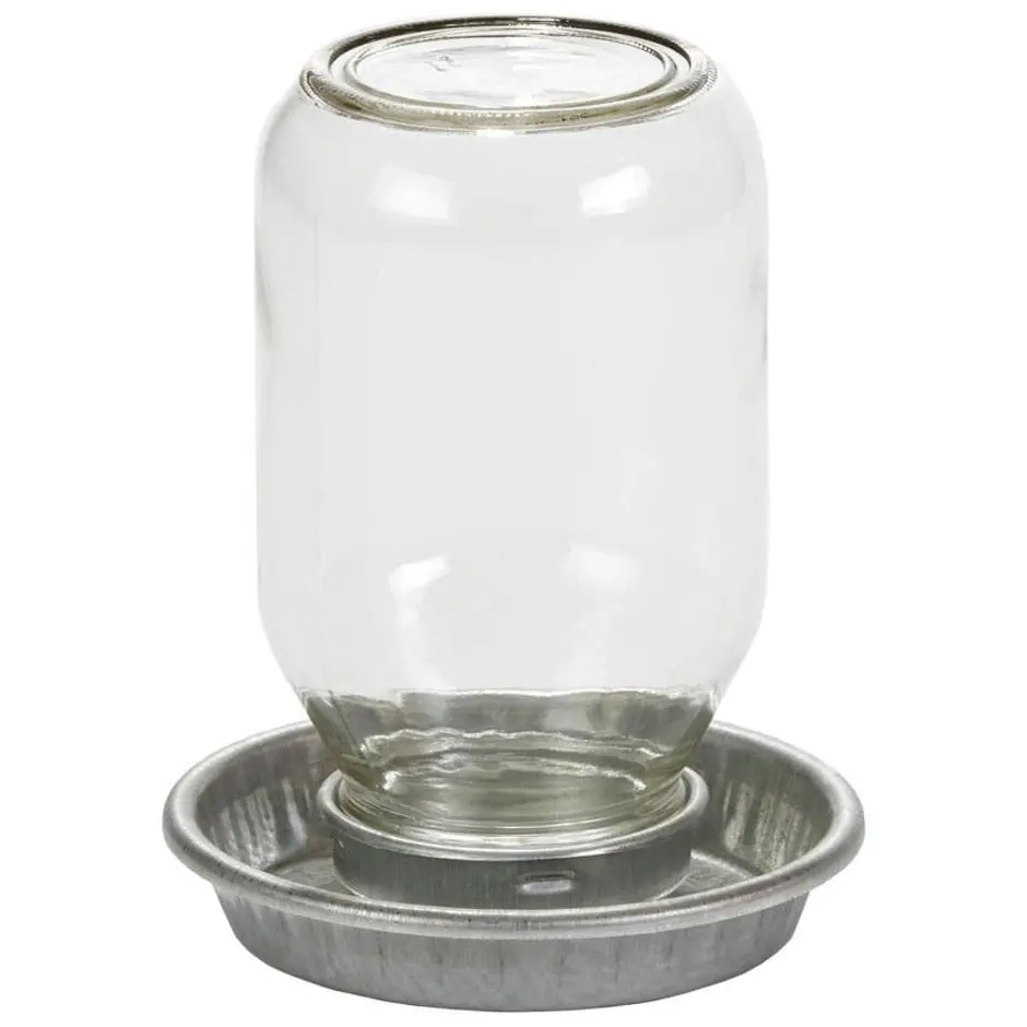 Little Giant Mason Jar Baby Chick Waterer W/ Jar 1