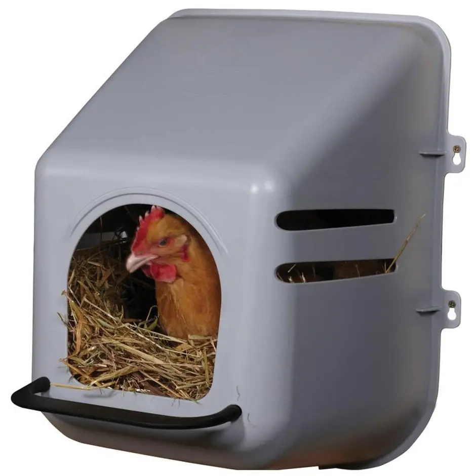 Little Giant Plastic Wall Mount Nesting Box 1