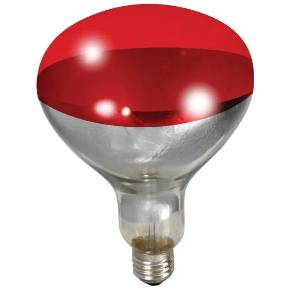 Little Giant Red Heat Lamp Bulb 1