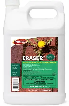 Martin's Eraser 1