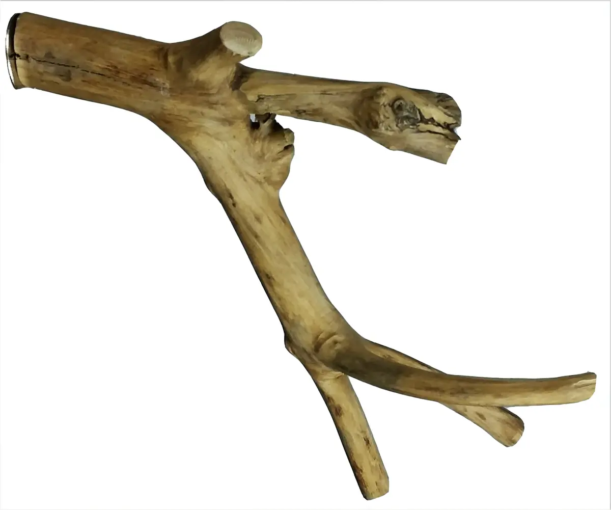 A&E Java Wood Multi Branch Perch 1