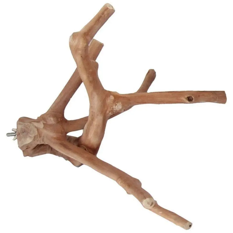 Multi-Branch Perch 1