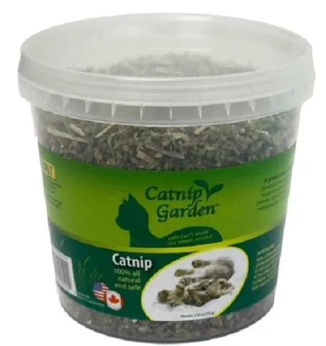 Multipet Catnip Garden Catnip Cup For Cats 1