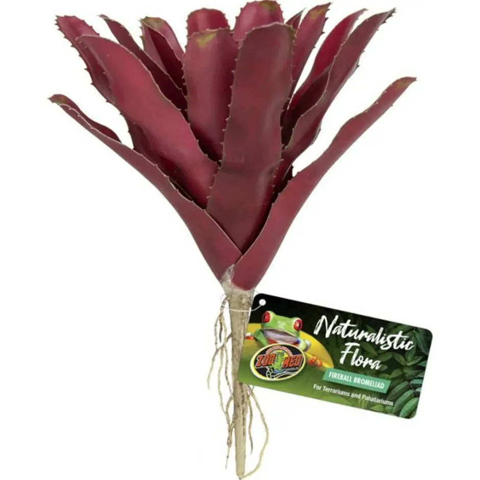 Naturalistic Flora Fireball Bromeliad 1