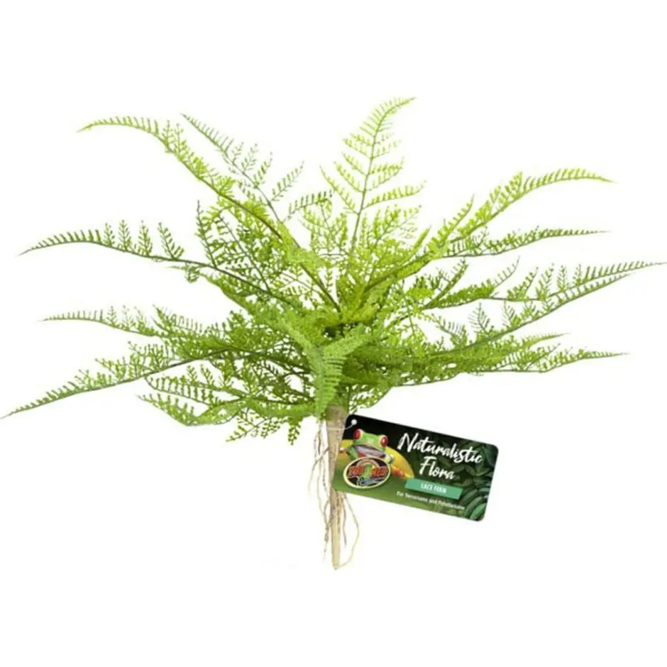 Naturalistic Flora Lace Fern 1
