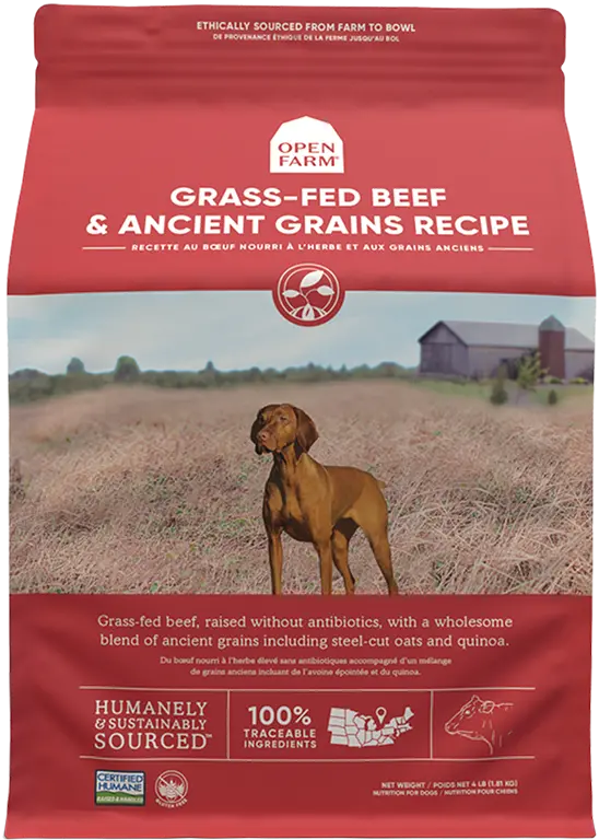 Open Farm Grass-Fed Beef & Ancient Grains Dry Dog Food 1