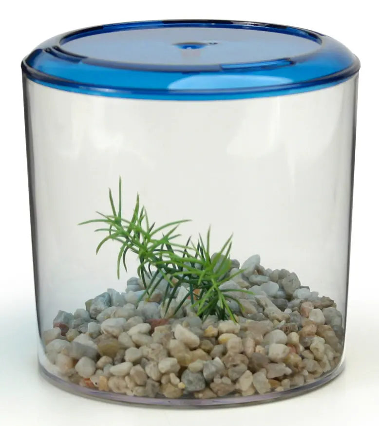 Lee's Aquarium & Pet Products Betta Keeper, Round 1