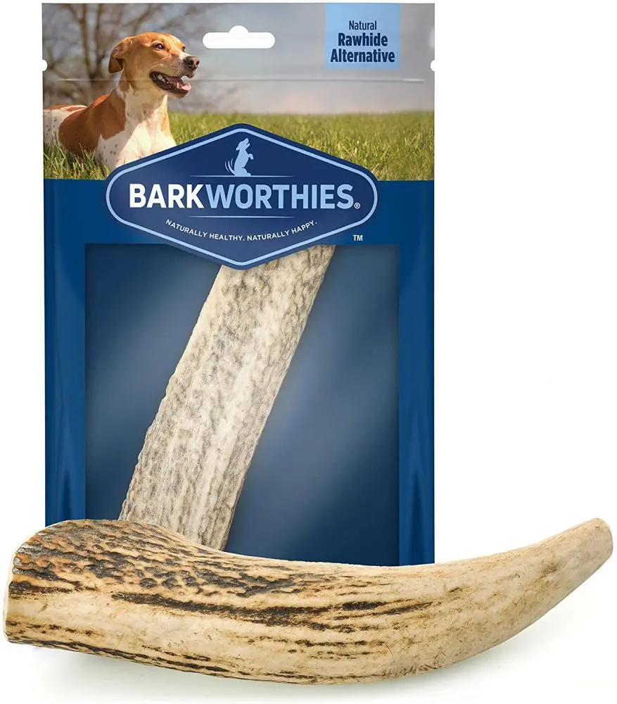 Barkworthies Whole Elk Antler Dog Chew For Large Breed Dogs 1