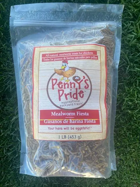 Penny’S Pride Mealworms 1