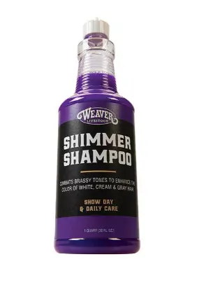 Shimmer Shampoo 1