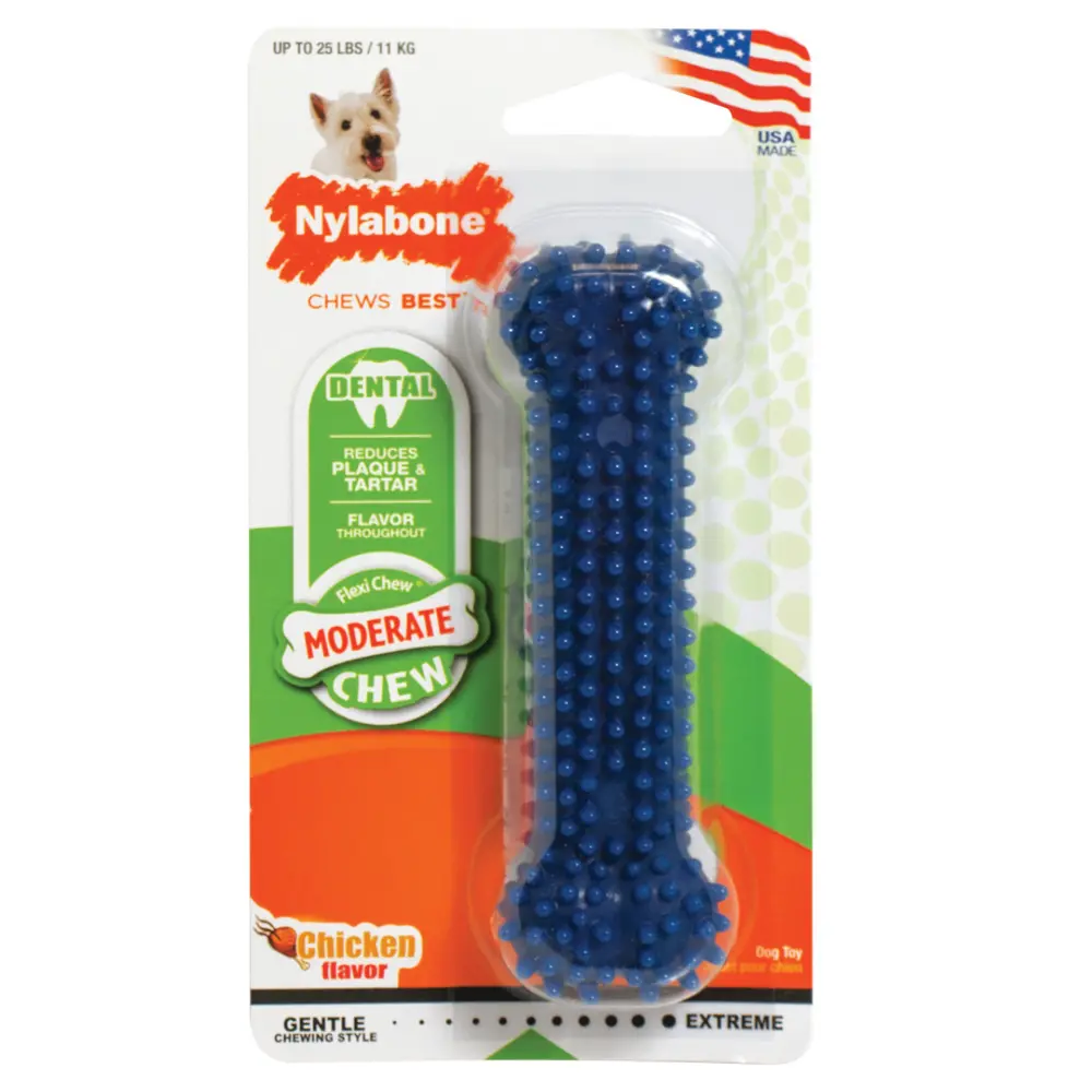 Nylabone Dental Chew Bone Dog Toy 1