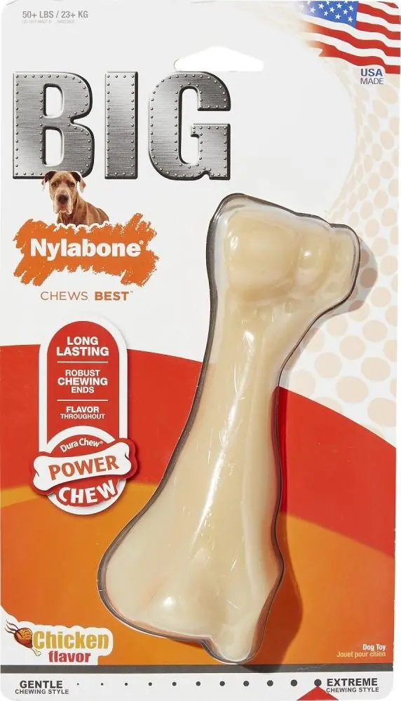 Nylabone Durachew Big Chew Chicken Flavor Bone Dog Toy 1