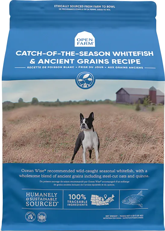 Open Farm Catch-Of-The-Season Whitefish & Ancient Grains Dry Dog Food 1