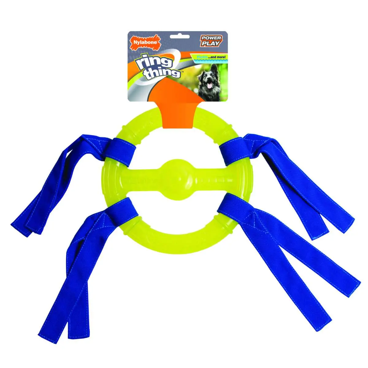 Nylabone Power Play Ring Thing Floatable Dog Toy 1