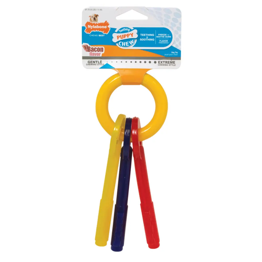 Nylabone Puppy Teething Chew Keys 1