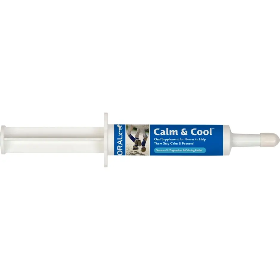 Oralx Calm & Cool Oral Supplement Paste 1