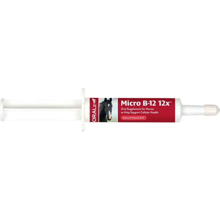 Oralx Micro B-12 Vitamin Paste 12X 1
