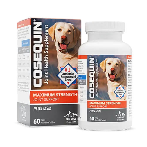 Cosequin® Maximum Strength Plus Msm Chewable Tablets 1