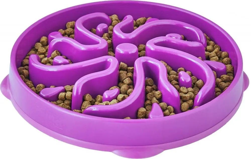 Outward Hound Dog Games Slo Bowl Slow Feeders Flower Design Dog Bowl 1