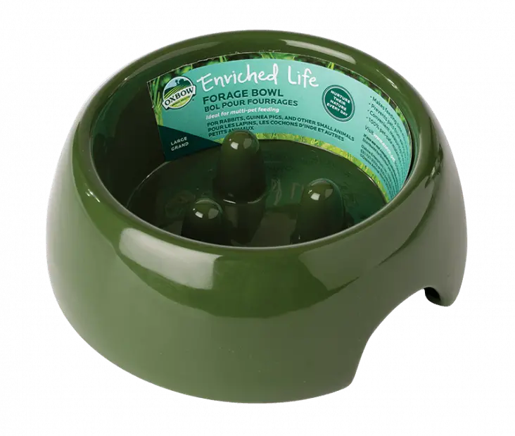 Oxbow Enriched Life - Forage Bowl (Large) 1