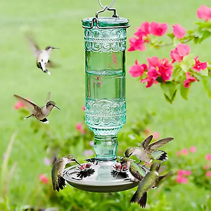 Perky-Pet® Green Antique Glass Bottle Hummingbird Feeder - 10 Oz Nectar Capacity 1