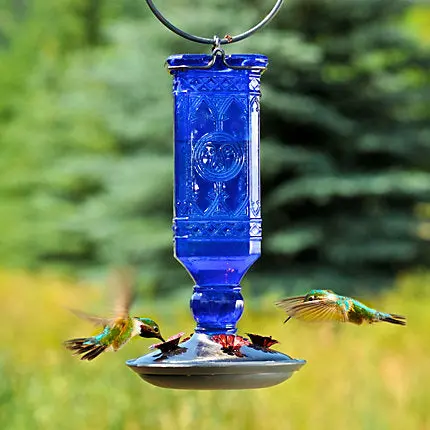 Perky-Pet® Cobalt Blue Antique Bottle Glass Hummingbird Feeder 1