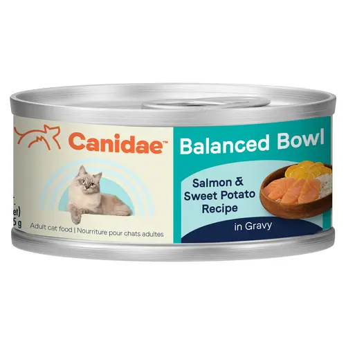 Canidae® Balanced Bowl Salmon & Sweet Potato Recipe Wet Cat Food 1