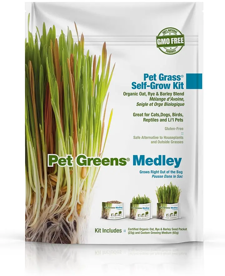 Pet Greens Self Grow Kit 1