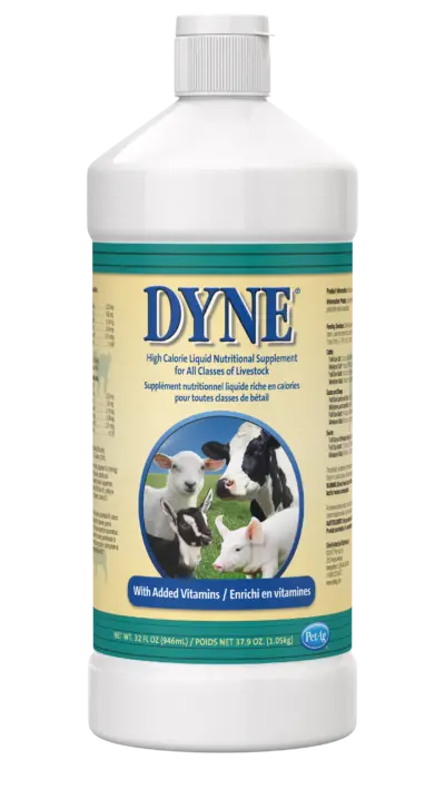 Petag Dyne® High Calorie Liquid Nutritional Supplement For Livestock 1